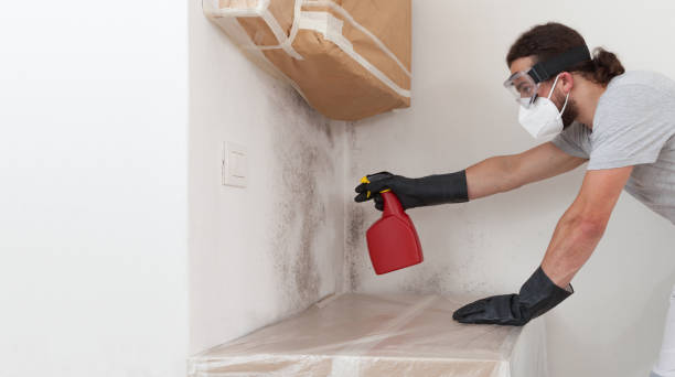 Professional Basement Mold Remediation technician working in Vauxhall, NJ