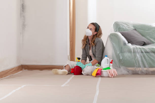 Reliable Basement Mold Remediation contractor in Vauxhall, NJ by WQB Mold Removal